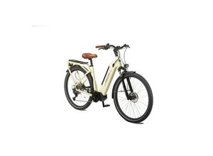 Maxtron MTS-21X Unisex Trekking SUV E-Bike