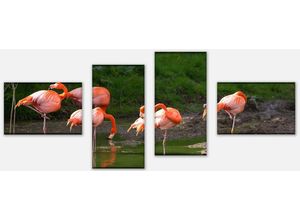 wandmotiv24 Mehrteilige Bilder Flamingos in einem Pool