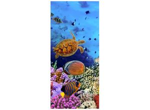 wandmotiv24 Türtapete Korallenriff mit Fischen