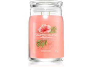 Yankee Candle Tropical Breeze scented candle Signature 567 g