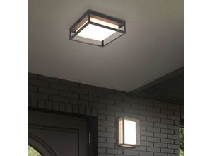 Trio Lighting LED outdoor ceiling light Witham IP54, CCT, anthracite