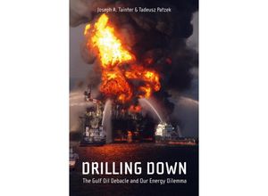 Drilling Down - Joseph A. Tainter, Tadeusz W. Patzek, Kartoniert (TB)