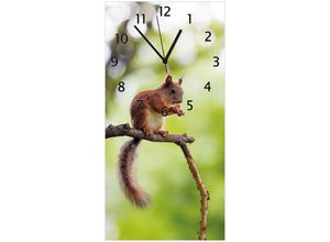 Wallario Wanduhr Eichhörnchen auf einem Ast (Uhr aus Acryl)