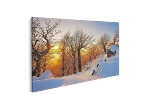 islandburner Leinwandbild Bild auf Leinwand Winter im Wald bei Sonnenuntergang Wandbild Poster K