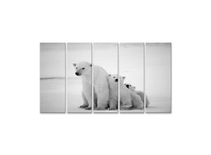 islandburner Leinwandbild Bild auf Leinwand Eis Bärin Mit Jungen Ein Polar Bärin Mit Zwei Kleine