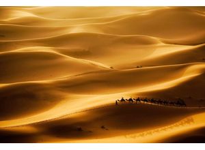 Papermoon Fototapete Wüste, bunt