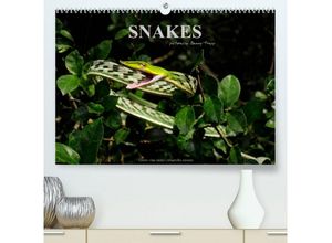 CALVENDO Wandkalender SNAKES / UK-Version (Premium-Calendar 2023 DIN A2 Landscape)