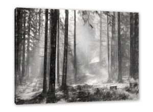 Pixxprint Leinwandbild Sonnenstrahlen im Wald