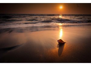 Papermoon Fototapete Tropischer Strand Sonnenuntergang, bunt