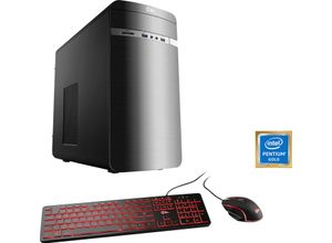 CSL Speed V21816 PC (Intel® Pentium Gold G6400, 8 GB RAM, 500 GB SSD, Luftkühlung), grau