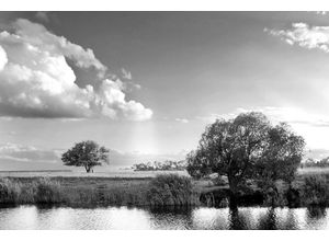 Papermoon Fototapete Landschaft Schwarz & Weiß, grau|schwarz|weiß