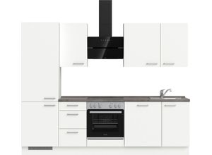nobilia® elements Küchenzeile "elements premium", vormontiert, Ausrichtung wählbar, Breite 270 cm, mit E-Geräten, grau|weiß