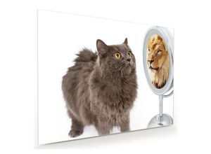 Primedeco Glasbild Wandbild Katze sieht Löwe im Spiegel mit Aufhängung