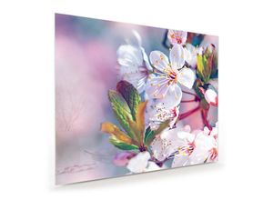 Primedeco Glasbild Wandbild Schöne Blüten mit Aufhängung