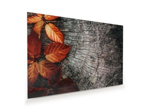 Primedeco Glasbild Wandbild Herbstblätter auf Stamm mit Aufhängung