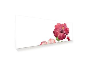 Primedeco Glasbild Wandbild Rosenblüten digital mit Aufhängung