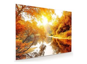 Primedeco Glasbild Wandbild Herbstwald am Fluss mit Aufhängung