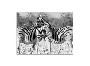 Bilderdepot24 Leinwandbild Zebrapaar