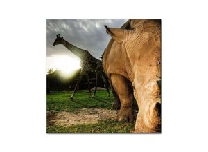 Bilderdepot24 Leinwandbild Nashorn und Giraffe