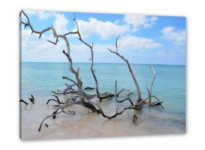 Pixxprint Leinwandbild Strand mit Treibholz in Kuba
