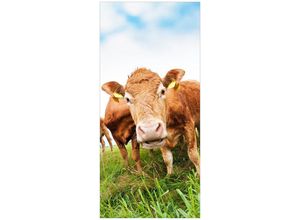 Wallario Türtapete Kühe im Sommer auf der Weide