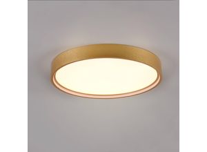 Trio Lighting Doha LED ceiling light, CCT, matt brass