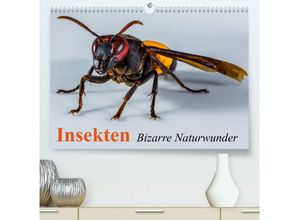 CALVENDO Wandkalender Insekten • Bizarre Naturwunder (Premium