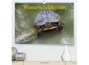 CALVENDO Wandkalender Wasserschildkröten (Premium