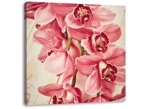 Pixxprint Leinwandbild Rosane Orchideenblüten