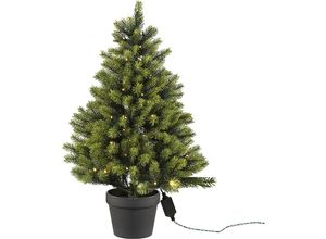 Tannenbaum im Topf mit LEDs - kaiserkraft