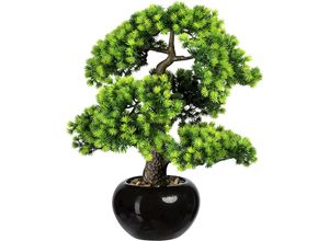 Bonsai Lärche, mit Kies - kaiserkraft