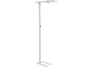 LED-Standleuchte MAULjaval MAUL