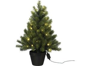 Tannenbaum im Topf mit LEDs - kaiserkraft