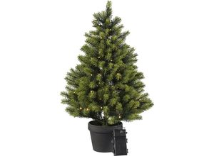 Tannenbaum im Topf mit LEDs - kaiserkraft