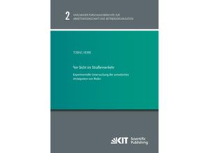 Vor-Sicht im Straßenverkehr - Experimentelle Untersuchung der somatischen Antizipation von Risiko - Tobias Heine, Kartoniert (TB)