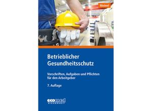 Betrieblicher Gesundheitsschutz - Hubert Meinel, Kartoniert (TB)