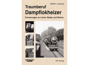 Traumberuf Dampflokheizer - Steffen Lüdecke, Gebunden