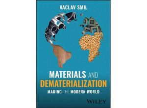 Materials and Dematerialization - Vaclav Smil, Kartoniert (TB)