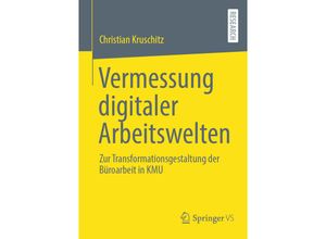 Vermessung digitaler Arbeitswelten - Christian Kruschitz, Kartoniert (TB)