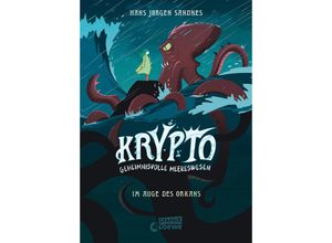 Im Auge des Orkans / Krypto - Geheimnisvolle Meereswesen Bd.2 - Hans Jørgen Sandnes, Gebunden