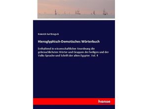 Hieroglyphisch-Demotisches Wörterbuch - Heinrich Karl Brugsch, Kartoniert (TB)