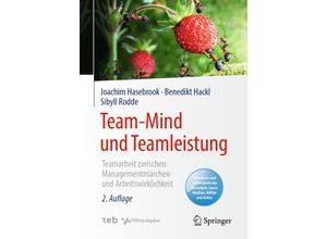 Team-Mind und Teamleistung - Joachim Hasebrook, Benedikt Hackl, Sibyll Rodde, Kartoniert (TB)