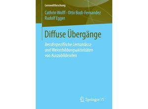 Diffuse Übergänge - Cathrin Wolff, Otto Bodi-Fernandez, Rudolf Egger, Kartoniert (TB)