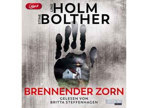 Brennender Zorn,2 Audio-CD, 2 MP3 - Line Holm, Stine Bolther (Hörbuch)