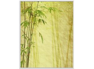 Wallario Poster, Antiker Bambus