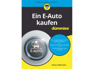 Ein E-Auto kaufen für Dummies - Reiner Silberstein, Kartoniert (TB)