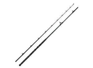 Zeck Pro-Cat Skyrock 3,30m – 500g Wallerrute