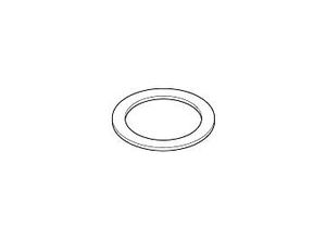 Dornbracht Ring 40X30X1,5 09281000490