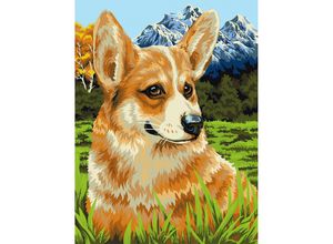 buttinette Malen nach Zahlen ""Corgi"", 30 x 40 cm