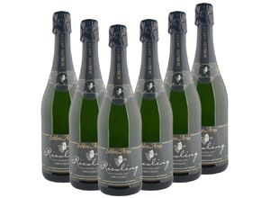 Riesling Sekt trocken 0,75l - 6er Karton